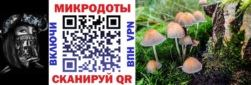 Псилоцибиновые грибы GOLDEN TEACHER  Купить где  Болохово 